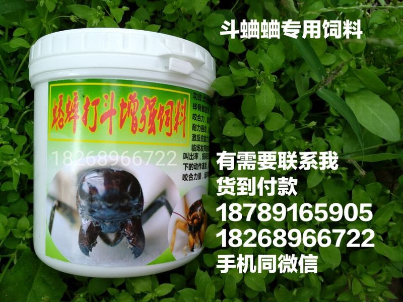 斗蛐蛐药蟋蟀打斗剂增强剂